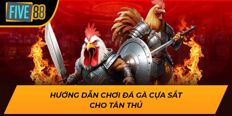 Hướng dẫn chơi đá gà cựa sắt cho tân thủ