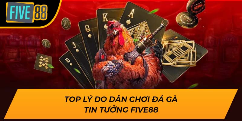 Top lý do dân chơi đá gà tin tưởng Five88