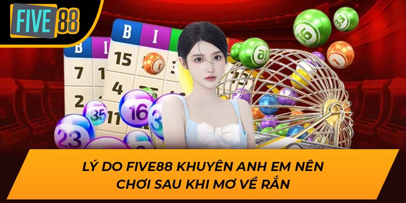 Lý do Five88 khuyên anh em nên chơi sau khi mơ về rắn