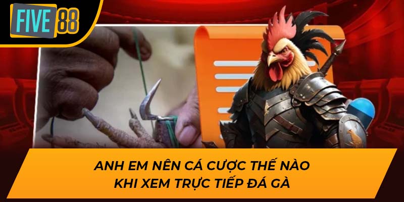 Anh em nên cá cược thế nào khi xem trực tiếp đá gà